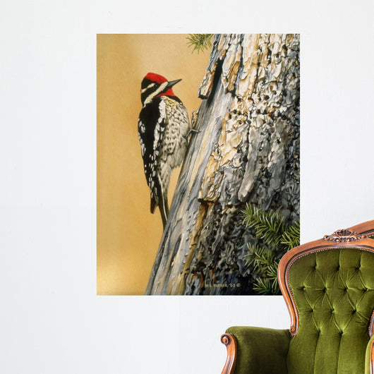 Yellow Bellied Sapsucker Wall Decal