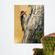 Yellow Bellied Sapsucker Wall Decal
