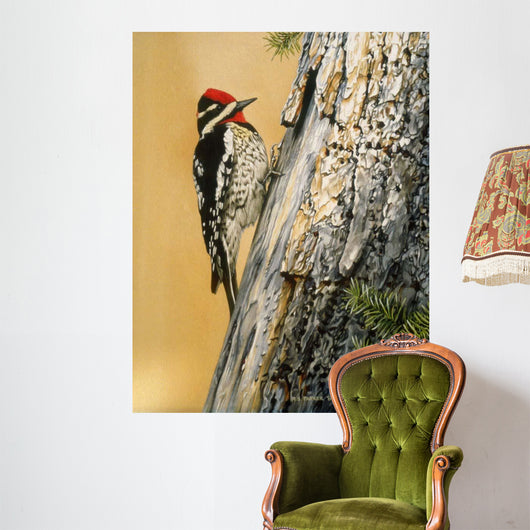 Yellow Bellied Sapsucker Wall Decal