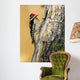 Yellow Bellied Sapsucker Wall Decal