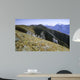 Dall Sheep Wall Decal