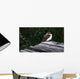 Tree Swallow Wall Decal
