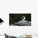 Tree Swallow Wall Decal