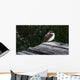 Tree Swallow Wall Decal