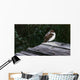 Tree Swallow Wall Decal