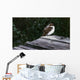 Tree Swallow Wall Decal