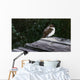 Tree Swallow Wall Decal