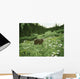 Old Man Mountain- Black Wall Decal