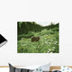 Old Man Mountain- Black Wall Decal