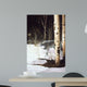 Grey Wolf Aspen Wall Decal