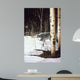 Grey Wolf Aspen Wall Decal
