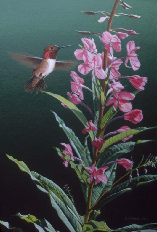 Fireweed Red Humming Bird Wall Decal