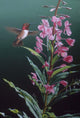 Fireweed Red Humming Bird Wall Decal