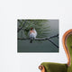 Red Poll Wall Decal