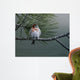 Red Poll Wall Decal