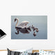 Following Mama Wall Decal