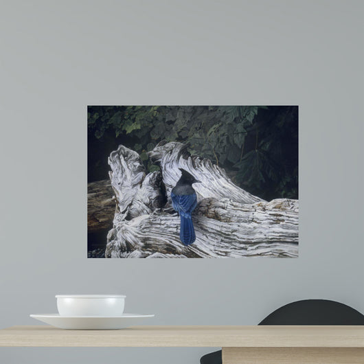 Driftwood Wall Decal Design 3