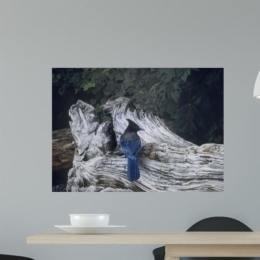 Driftwood Wall Decal Design 3