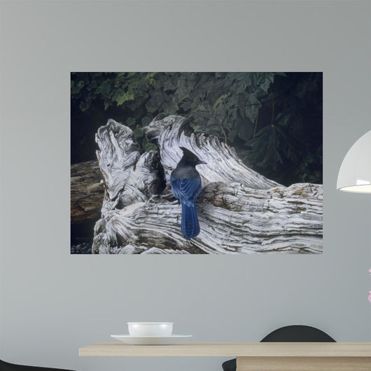 Driftwood Wall Decal Design 3