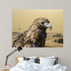 Red Tailed Hawk 2 Wall Decal