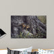 Wary Glance Wall Decal