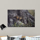 Wary Glance Wall Decal