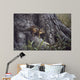 Wary Glance Wall Decal