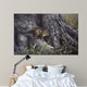 Wary Glance Wall Decal