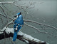 Winter Blue Jay Wall Decal