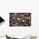 Forest Floor Wall Decal