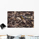 Forest Floor Wall Decal