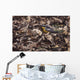 Forest Floor Wall Decal