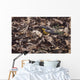 Forest Floor Wall Decal