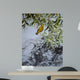 Willow Wall Decal