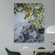 Willow Wall Decal