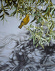 Willow Wall Decal