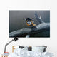 Redstart Wall Decal