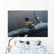 Redstart Wall Decal
