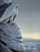 Arctic Spring Wall Decal
