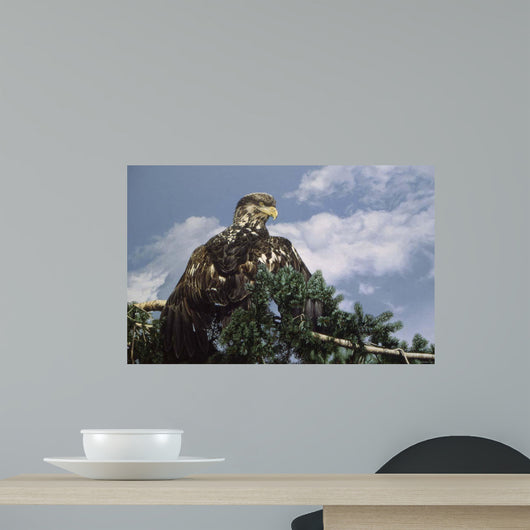 Taking Sun Wall Decal