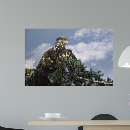 Taking Sun Wall Decal