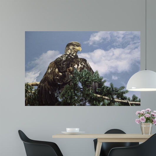 Taking Sun Wall Decal