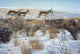 Walking Ridge Wall Decal
