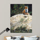 Fox Pup Den Entrance Wall Decal
