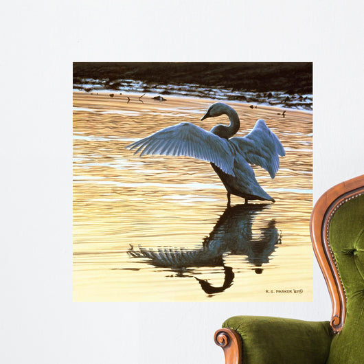 Evening Reflections Wall Decal