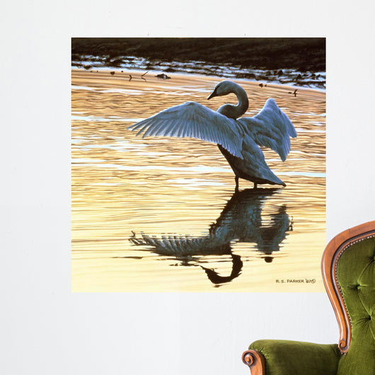 Evening Reflections Wall Decal