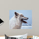 Arctic Wolf Portrait Wall Decal