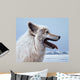 Arctic Wolf Portrait Wall Decal