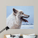 Arctic Wolf Portrait Wall Decal