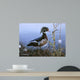 Duck Waters Edge Wall Decal